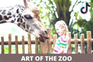 Art of Zoo Playlist